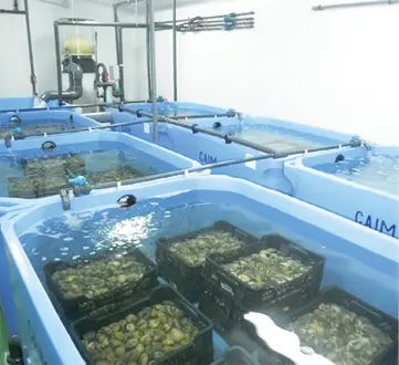 Sala de depuración para moluscos 92Transporte de los productos pesqueros Es - фото 126
