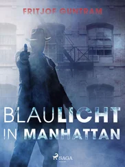 Fritjof Guntram - Blaulicht in Manhattan