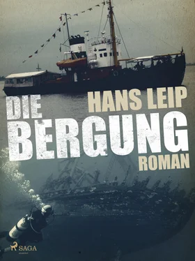 Hans Leip Die Bergung обложка книги