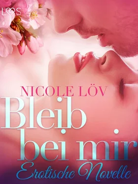 Nicole Löv Bleib bei mir: Erotische Novelle обложка книги