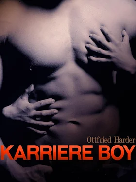 Ottfried Harder Karriere Boy обложка книги