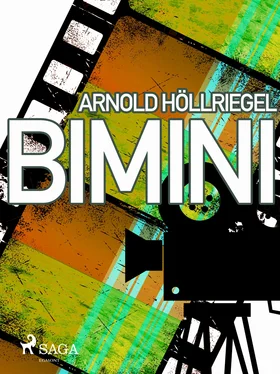 Arnold Höllriegel Bimini обложка книги