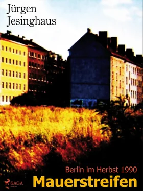 Jürgen Jesinghaus Mauerstreifen обложка книги