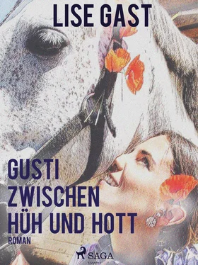 Lise Gast Gusti zwischen Hüh und Hott обложка книги