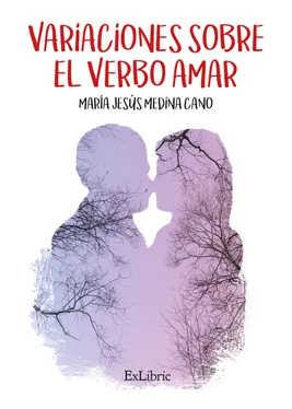 María Jesús Medina Cano Variaciones sobre el verbo amar обложка книги