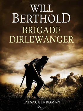 Will Berthold Brigade Dirlewanger - Tatsachenroman обложка книги