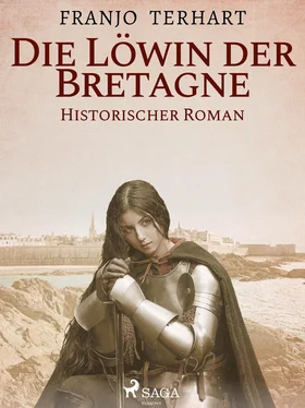 Franjo Terhart Löwin der Bretagne - Historischer Roman обложка книги