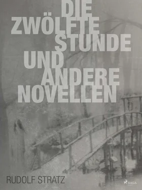 Rudolf Stratz Die zwölfte Stunde und andere Novellen обложка книги
