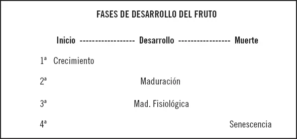 Las fases pueden solaparse pero el orden es el mismo en todas las especies - фото 2