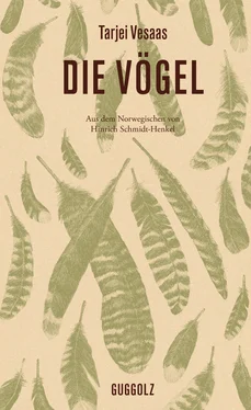 Tarjei Vesaas Die Vögel обложка книги