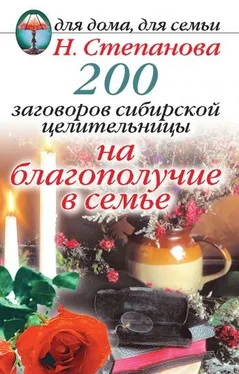 Наталья Степанова 200 заговоров сибирской целительницы на благополучие в семье обложка книги