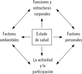 Funciones y estructuras corporales Dentro de las mismas están 1 Funciones - фото 7