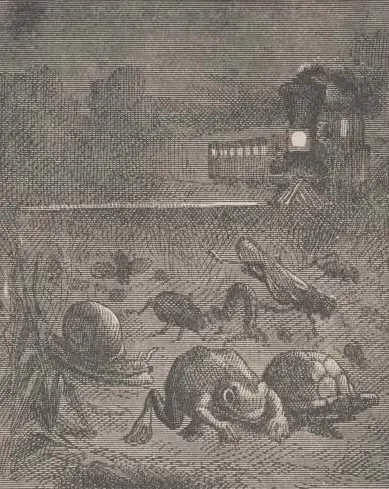 The poor camp laborers were stricken to the heart with fright and stampeded - фото 33