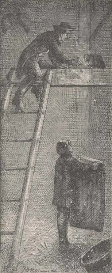 In the case of the other method mentioned for raising poultry your friend - фото 23