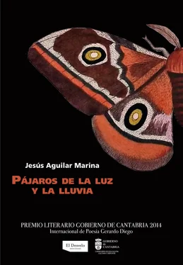 Jesús Aguilar Marina Pájaros de la luz y la lluvia обложка книги