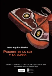 Jesús Aguilar Marina - Pájaros de la luz y la lluvia