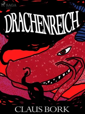 Claus Bork Drachenreich обложка книги