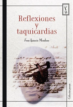 Fran Ignacio Mendoza Reflexiones y taquicardias обложка книги