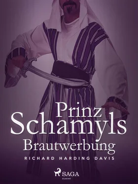 Richard Henry Savage Prinz Schamyls Brautwerbung обложка книги
