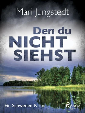 Mari Jungstedt Den du nicht siehst - Ein Schweden-Krimi обложка книги