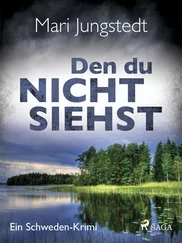 Mari Jungstedt - Den du nicht siehst - Ein Schweden-Krimi