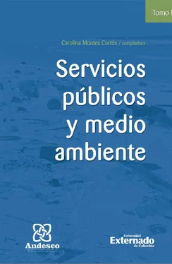 María Daniela de la Rosa Calderón Servicios públicos y medio ambiente Tomo IV обложка книги