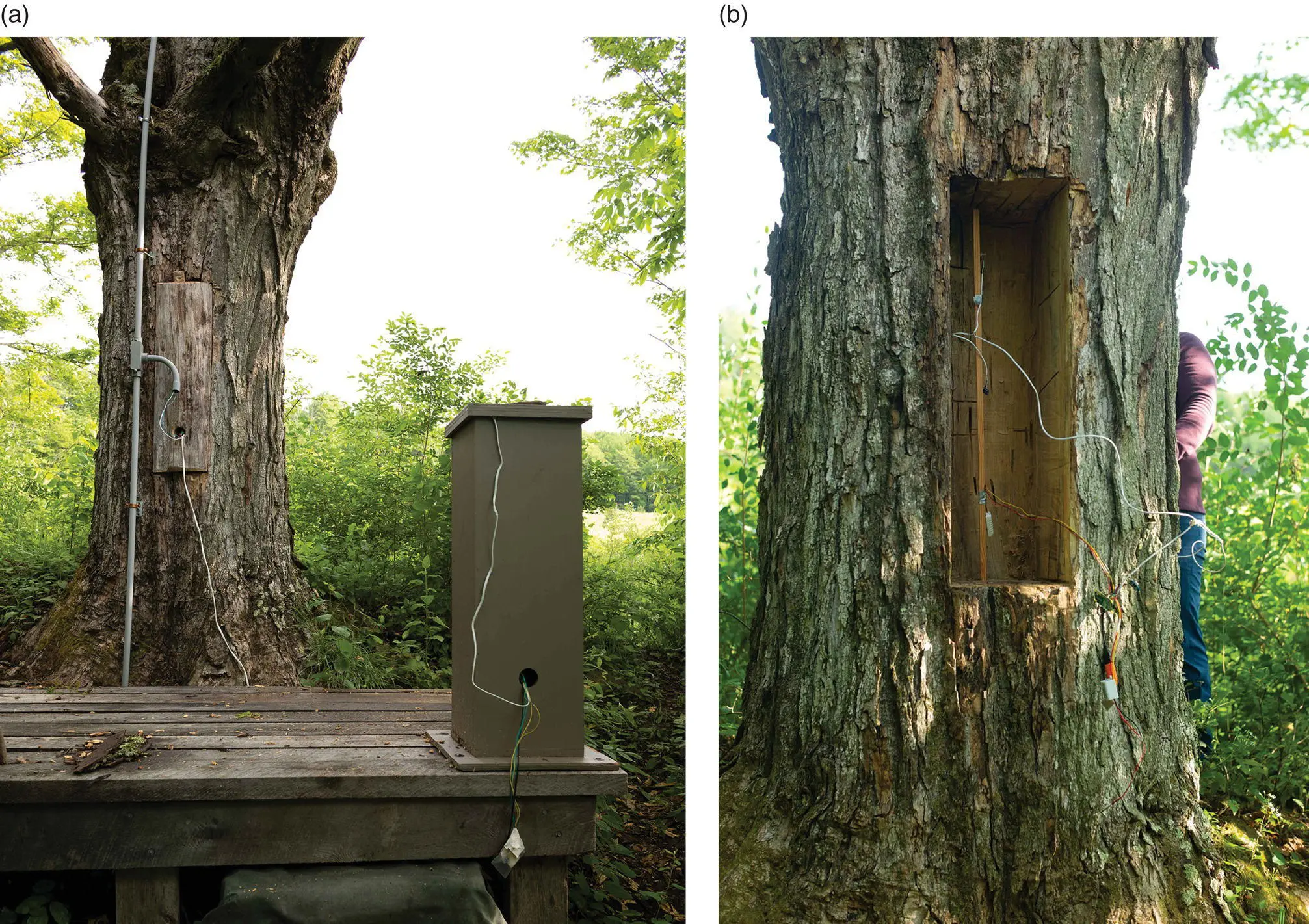 Figure 15 A research station beside the Shindagin Hollow State Forest in - фото 6