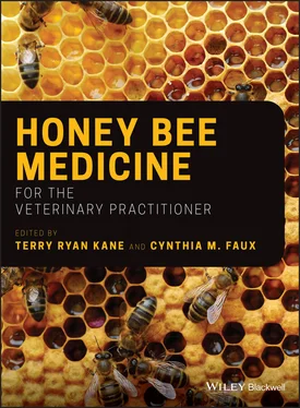 Неизвестный Автор Honey Bee Medicine for the Veterinary Practitioner обложка книги