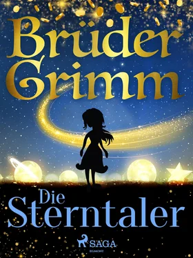 Brüder Grimm Die Sterntaler обложка книги