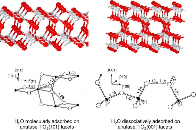 Figure 23 Side view of anatase TiO 2101 and 001 facets Top view for - фото 24