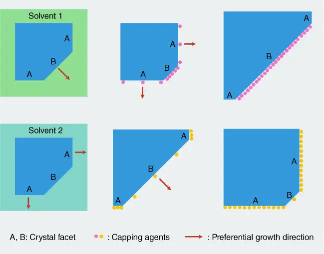 Figure 22 Schematic of the effect of solvent and capping agents on the - фото 23