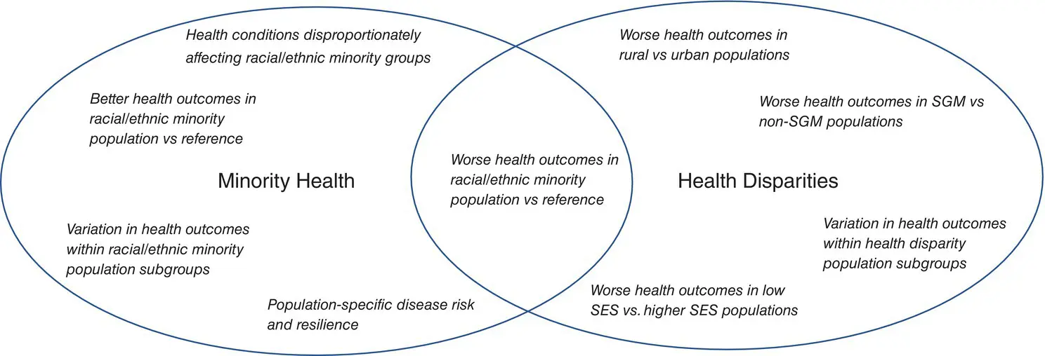 Figure 11 Overlapping but distinct constructs of Minority Health and Health - фото 2