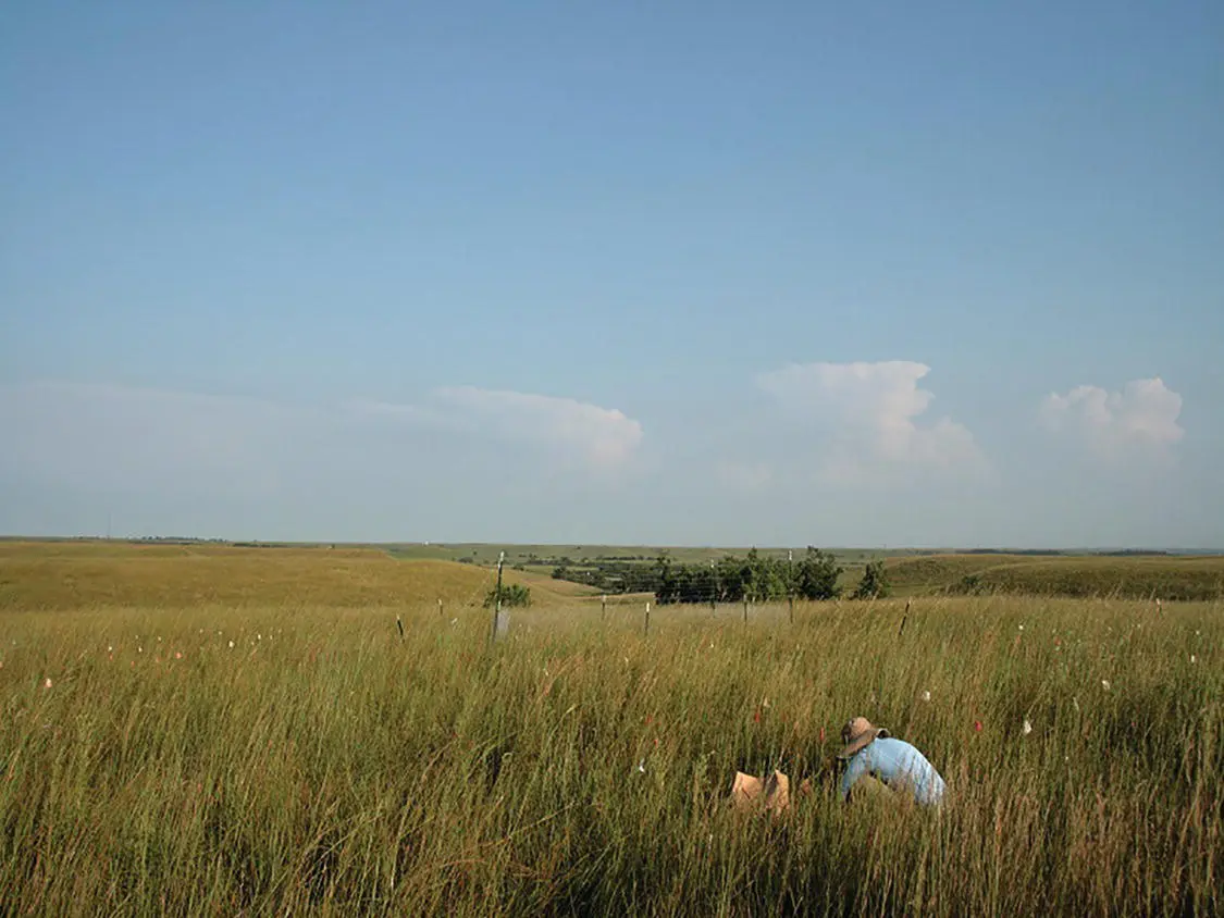 Fig 213 Coloured flags are used here to mark where the researcher is - фото 22