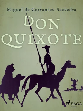 Miguel de Cervantes Don Quixote обложка книги
