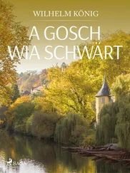 Wilhelm König - A Gosch wia schwärt