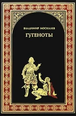 Владимир Москалев Гугеноты обложка книги