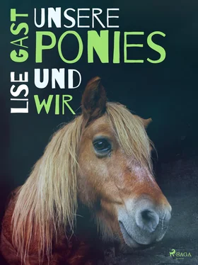 Lise Gast Unsere Ponies und wir обложка книги