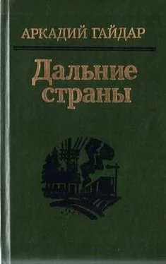 Аркадий Гайдар Дальние страны обложка книги