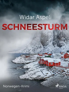 Widar Aspeli Schneesturm - Norwegen-Krimi обложка книги