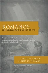 David N. Steele - Romanos