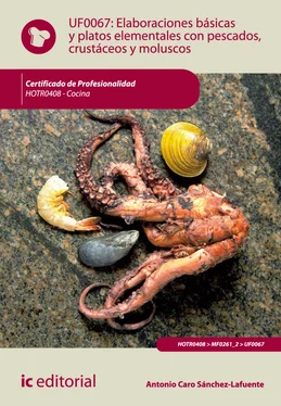 Antonio Caro Sánchez-Lafuente Elaboraciones básicas y platos elementales con pescados, crustáceos y moluscos. HOTR0408 обложка книги