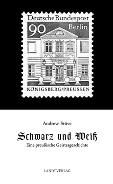 Andrew Stüve Schwarz und Weiß обложка книги