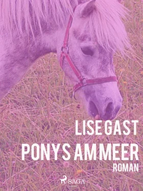 Lise Gast Ponys am Meer обложка книги