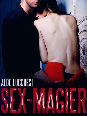 Aldo Lucchesi Sex-Magier обложка книги
