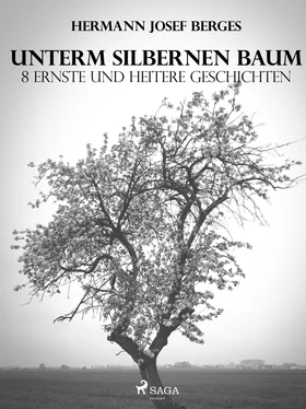 Hermann Josef Berges Unterm silbernen Baum. 8 ernste und heitere Geschichten обложка книги