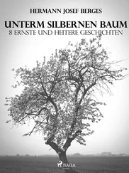Hermann Josef Berges - Unterm silbernen Baum. 8 ernste und heitere Geschichten