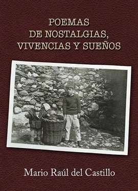 Mario Raúl del Castillo Poemas de nostalgias, vivencias y sueños обложка книги