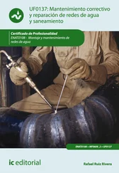 Rafael Ruiz Rivera - Mantenimiento correctivo y reparación de redes de distribución de agua y saneamiento. ENAT0108