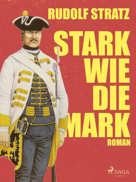 Rudolf Stratz Stark wie die Mark обложка книги