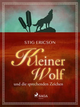 Stig Ericson Kleiner Wolf und die sprechenden Zeichen обложка книги